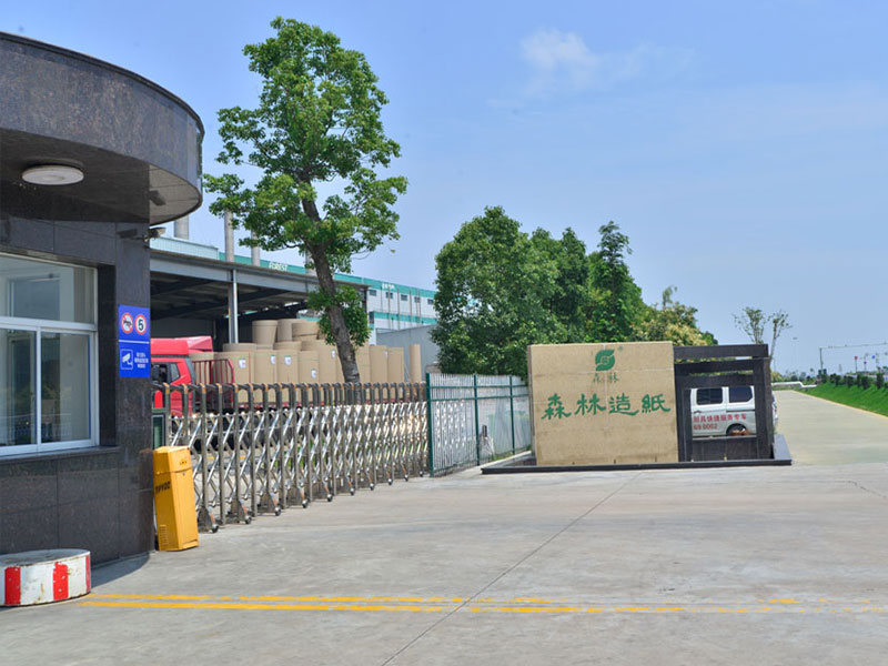 pg电子娱乐平台造纸厂大门