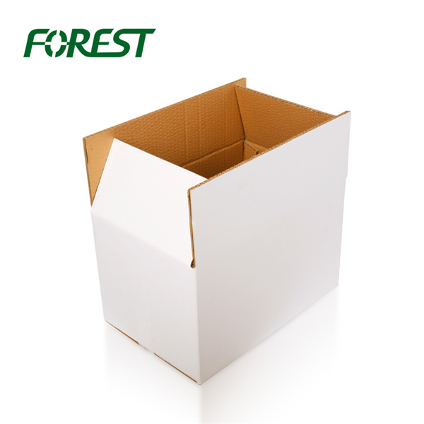 <div id='b1c38e'>Corrugated Mailing Shipping Carton Box</div>